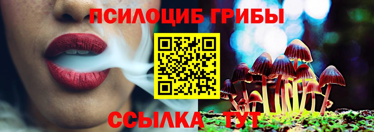 Псилоцибиновые грибы Cubensis  Вход с VPN  Псилоцибиновые грибы прущие грибы  Губаха 